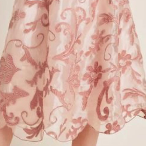 Gorgeous "Shannon" Pink embroidered overlay skirt by Maeve - size Med - NWT - Picture 10 of 11